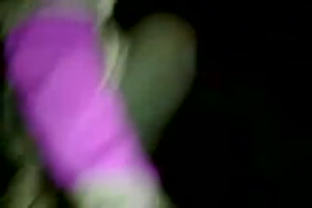 Alger porn zaki