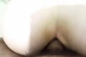 Araby sexy.com hamster