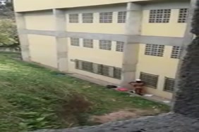 Video sex cheval avec une femme
