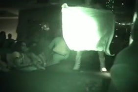Nxnxanimal