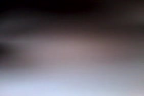 Youtube pornos animal et hommes