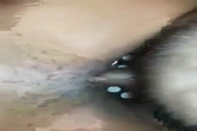 Xvideo gros femme africaine