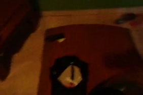 Www.xxx.borno.com.chien