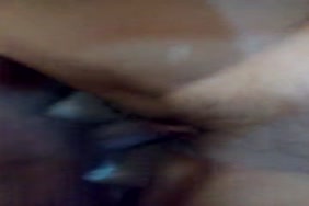 Sexe chien et mouton porno