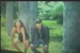 Video panno madivine