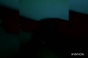 Porno americ animaux