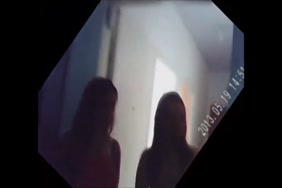 You porn animaux