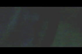 Famme baise avec cheval