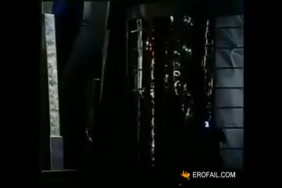Porn animaux dafrique