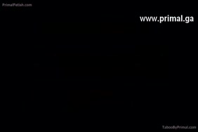 Www.facedakar.xxx com