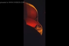 Porno nimaux afrique