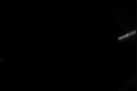 Wwxnxx animoux