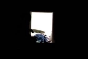 Femmes et animal xnxx