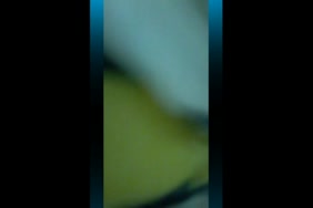 Video porno danimaux a télécharger gratuitement