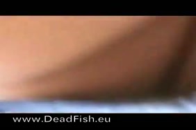 Porno animal ceheval