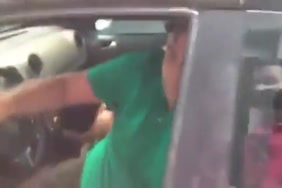 Xxx haifa wahbi zoofillia vidéo