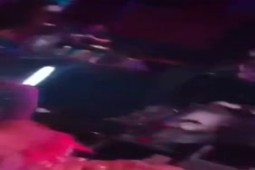 Vidéo porno famme sex avec le chien
