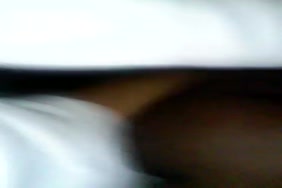 Www.cheval baise humain.com