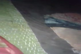 Porno xx une maitresse avec son chien
