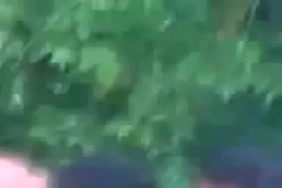 Vierjporno