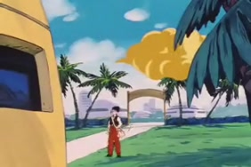 Sexe femme et animeaux