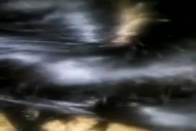 Ma soeur suce ma grosse bite tubes