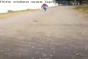 Porno avke animo