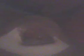 Lodiny porno court video