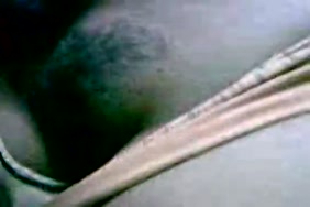 Xnxxalgre