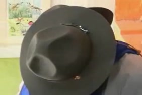 Penis dans le vagin:images-vidéos