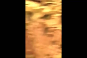 Xxx porno telechargement gratui de petite video 1minete
