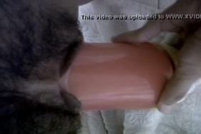 Porno arabe avig le choval