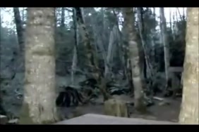 Video dun chien qui fait lamour