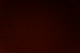 Www.com.xxnx.mali
