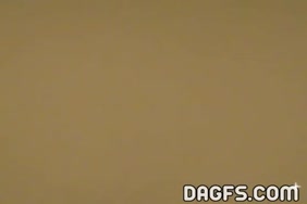 Xnxx peti ani