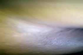 Video porno afric centrale
