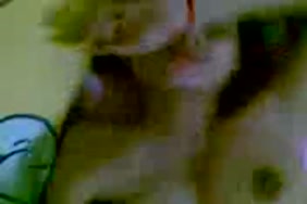 Sexpourno japent