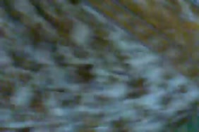 Video gratuite pornodingue il baise sa cousine pendant que sa soeur dort a cote