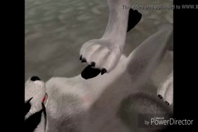 Les porne defile du sex
