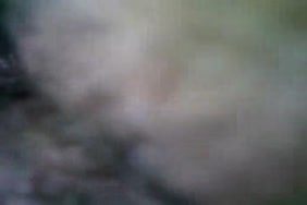 Sex pornoh chien for nokiax2- 1