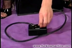 Www.porno chevaux.com