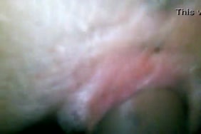 Pronoxxx.com idien