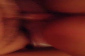 Video 3gp xxx animal