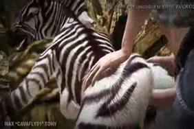 Pornoxxxvideoamericain