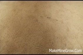 Dog sex fame mp4