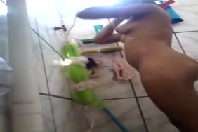 Aflam 22 xnxx