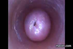 Porno garçon avec animal